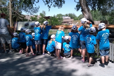 Field Trip to the Zoo