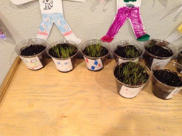 Planting Seeds, Small World Child Care